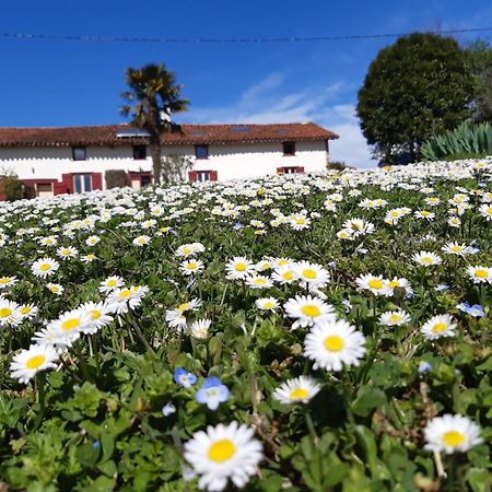 Bnb Ferme Beauregard Les Pyrenees Artigat Kültér fotó