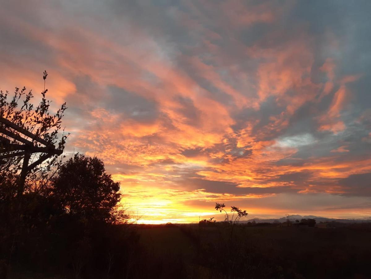 Bnb Ferme Beauregard Les Pyrenees Artigat Kültér fotó